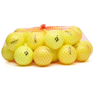 25 Bridgestone e6 Lakeballs,